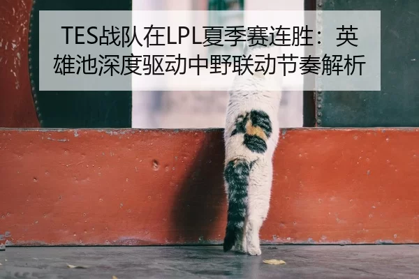 TES战队在LPL夏季赛连胜：英雄池深度驱动中野联动节奏解析